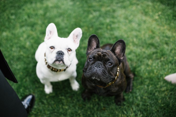 25302458917_cb09f3bfa9_o