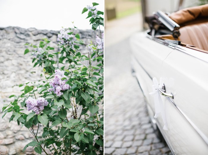 39275731085_6479fab165_o