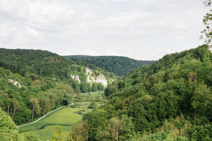 39462977834_f9ccfcbe21_o