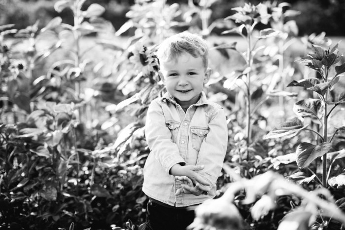 44708432485_d54e5bf500_o