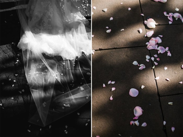 46767177972_426438a126_o