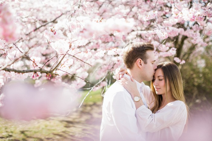 33809007318_4d0de42380_o