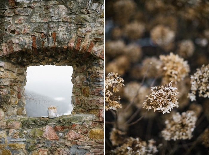 49460357731_5873db01a4_b